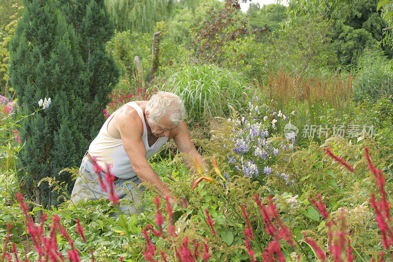 Gardening /园艺